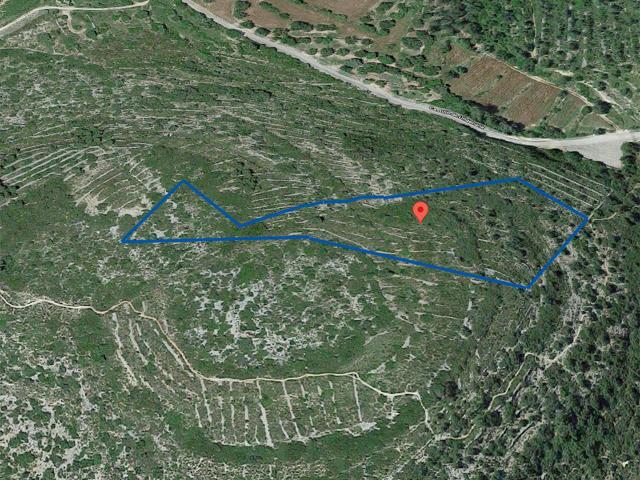 Finca rústica de secano de 10.622m² muy cerca del Castillo de Ulldecona (Tarragona). photo 0