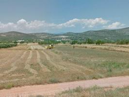Finca rústica de secano de 4.026m² en partida Les Codines de Ulldecona (Tarragona). photo 0
