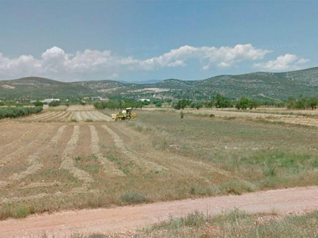 Finca rústica de secano de 4.026m² en partida Les Codines de Ulldecona (Tarragona). photo 0