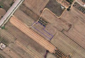 Terreno rústico de secano de 2.020 m² ubicado en la Partida Foia, en el municipio de Ulldecona. photo 0
