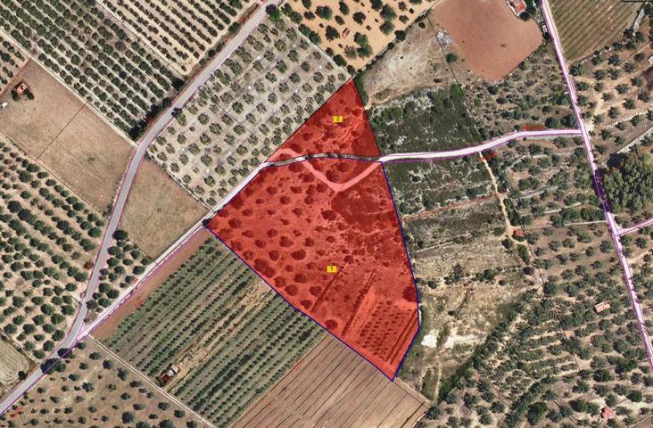 Terreno rústico de secano de 19.114 m² ubicado en la Partida de l’Arió, en el municipio de Ulldecona. photo 0