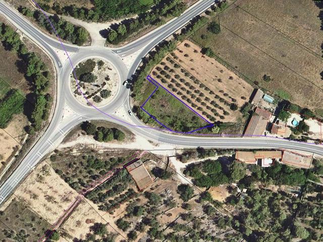 Terreno rústico de regadío de 1.218m² en la Partida Camí La Roja de Ulldecona (Tarragona). photo 0