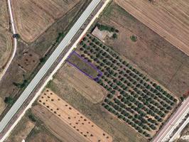 Terreno rústico de secano de 765m² en la Partida La Foia de Ulldecona (Tarragona). photo 0