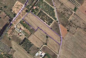 Terreno rústico de regadío de 8.900 m² en la Partida Crevetes de Ulldecona (Tarragona). photo 0