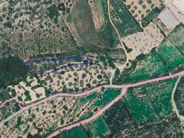 Terreno rústico de secano de 2.452m² en Partida Les Moles de Ulldecona (Tarragona). photo 0