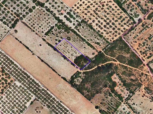 Finca Rústica en venta en Ulldecona de 3280 m2 photo 0