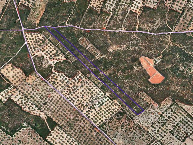 Terreno rústico de secano de 12.867m² en Partida Miliana, Ulldecona (Tarragona). photo 0