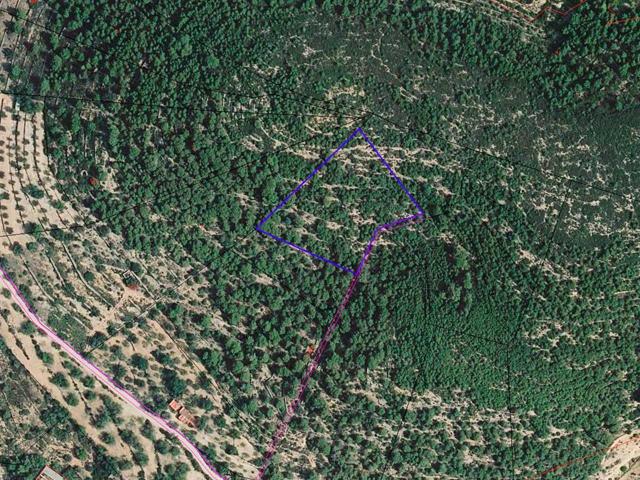 Terreno rústico de secano de 5.382m² en Partida Comaplana de Ulldecona (Tarragona). photo 0