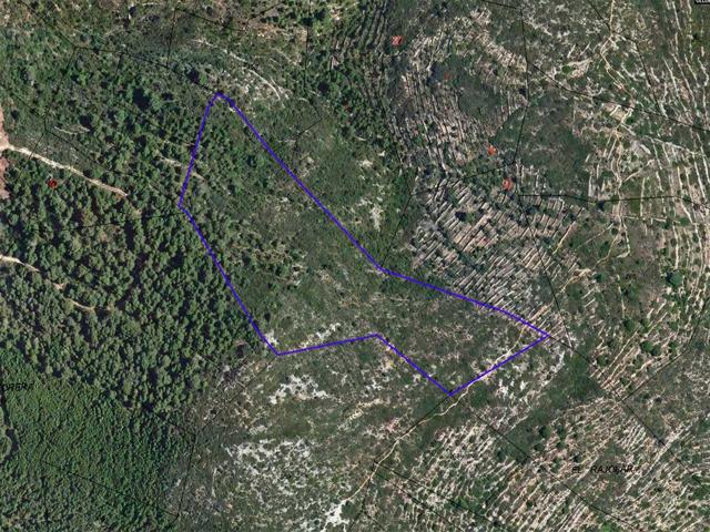 Terreno rústico de secano de 23.638m² en Partida la Cogula de Ulldecona (Tarragona). photo 0