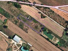 Terreno rústico de regadío de 3.764m² en Ulldecona (Tarragona). photo 0