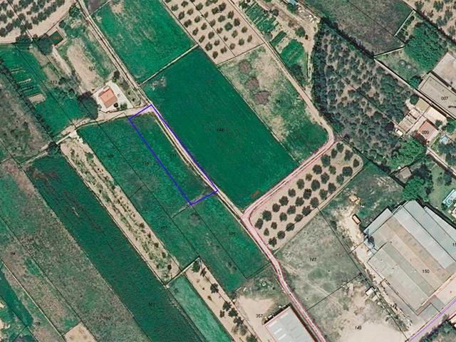 Terreno rústico de regadío de 1.039m² en Ulldecona (Tarragona). photo 0