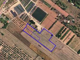 Terreno rústico de secano de 8.304m² en Partida Llacuna de Ulldecona (Tarragona). photo 0