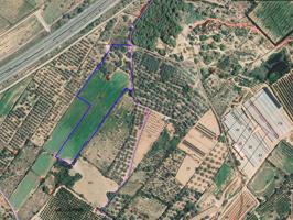 Terreno rústico de secano de 18.197m² en Partida Tortes de Ulldecona (Tarragona). photo 0