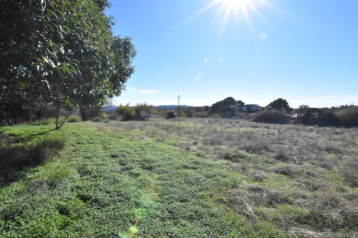 Inversión Ideal en El Pedroso: Terreno Rural con Potencial photo 0