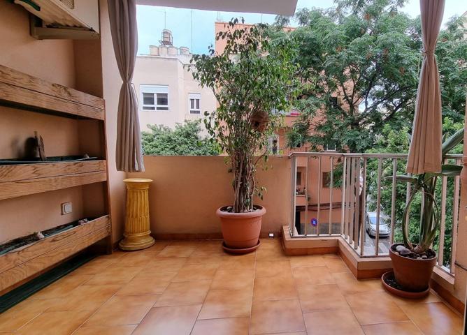PISO EN SANTA CATALINA photo 0