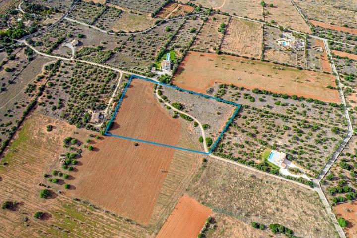 Terreno en Ses Salines: El Lugar Perfecto para Crear tu Hogar en Mallorca photo 0
