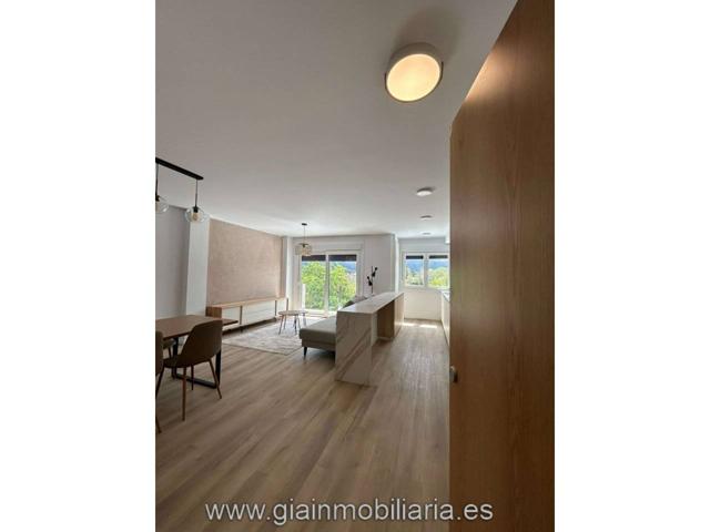 Visita este increíble piso de 2 habitaciones y 2 baños en Goian photo 0