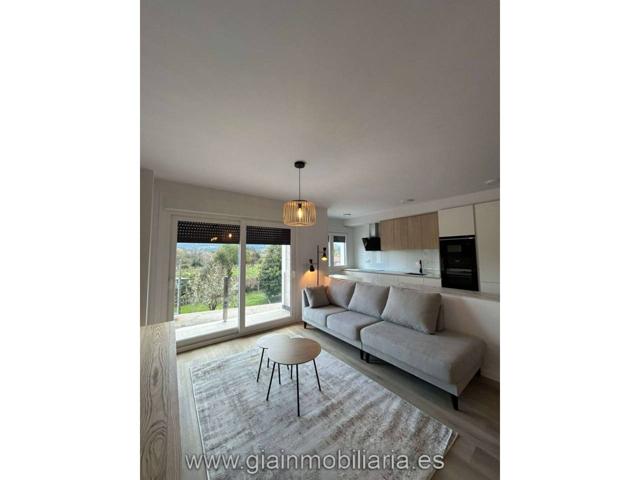 Visita este increíble piso de 1 habitación y 1 baño en Goian photo 0