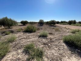 TERRENO RURAL EN VENTA EN MAZARRON photo 0