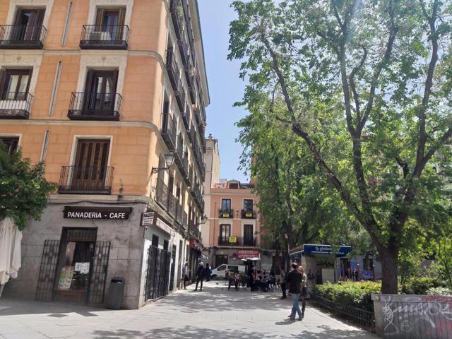 EXCLUSIVO PISO EN MALASAÑA, GRAN RENTABILIDAD. photo 0