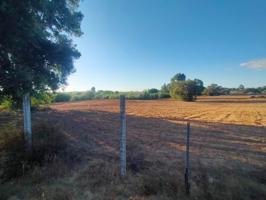 Terreno Urbanizable En venta en Vereda De Los Labrados, 0, Villamanrique De La Condesa photo 0