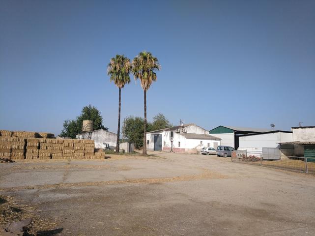 Terreno Urbanizable En venta en A-8006, 0, Alcalá Del Río photo 0