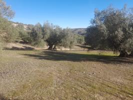 Terreno Urbanizable En venta en El Quemado, 0, Villanueva De Algaidas photo 0