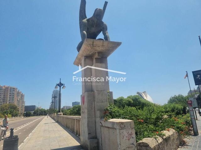 A 80 metros de los jardines del rio Turia y a un paseo de la calle Colón. photo 0