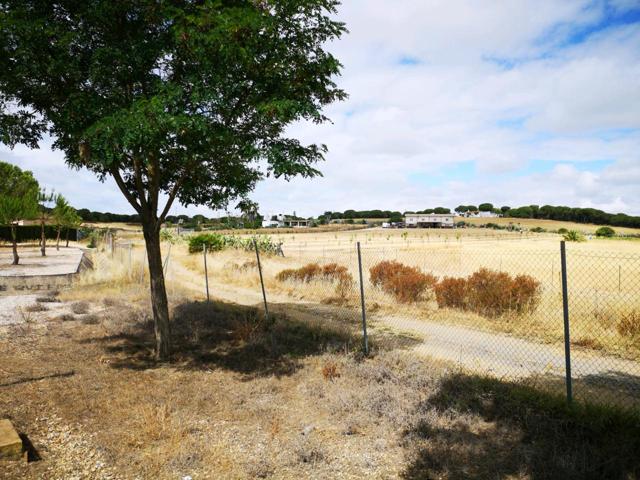 PARCELA RUSTICA junto a la dehesa-aljaraque REF-7048 PRECIO: 3️⃣9️⃣9️⃣0️⃣0️⃣ photo 0