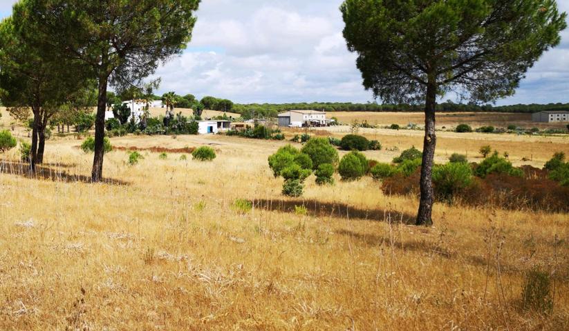 PARCELA RUSTICA junto a la dehesa-aljaraque REF-7048 PRECIO: 3️⃣9️⃣9️⃣0️⃣0️⃣ photo 0