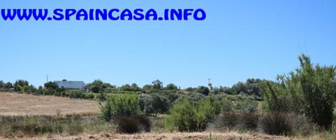 FINCA AGRICOLA DE REGADIO EN ALJARAQUE REF-7168  PRECIO: 200.000€ photo 0