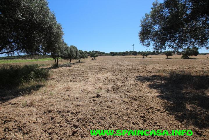 Terreno en venta en Aljaraque de 15000 m2 photo 0