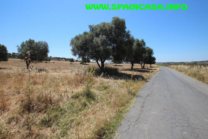 Terreno en venta en Aljaraque de 15000 m2 photo 0