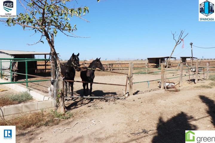Finca-con casita y 5-box-san juan del puerto-huelva-precio-170.000€-ref-7439 photo 0