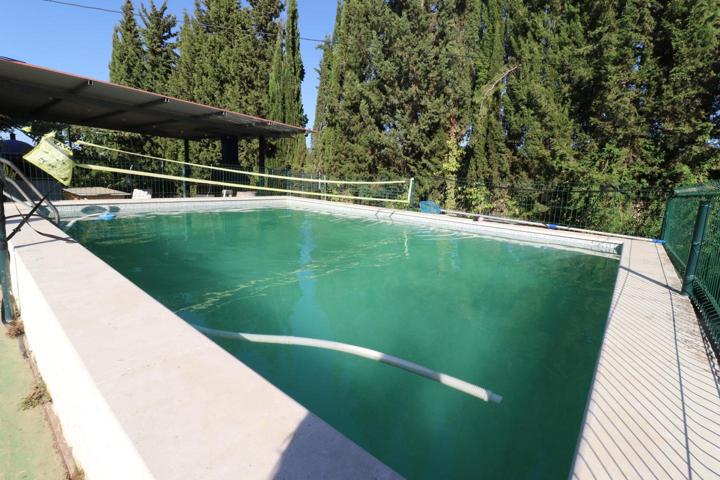 FINCA RUSTICA EL ALJARAQUE ( EL RINCON ) - TERMINO DE PUNTA UMBRIA 🏡🏡 photo 0