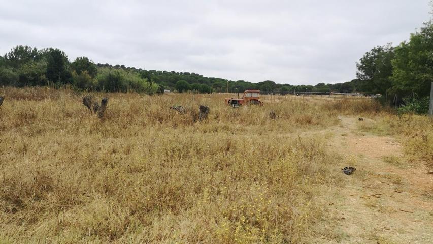 FINCA RUSTICA EN ALJARAQUE A 2 KM DEL PUEBLO 1️⃣4️⃣9️⃣9️⃣9️⃣0️⃣M2-LUZ Y AGUA photo 0