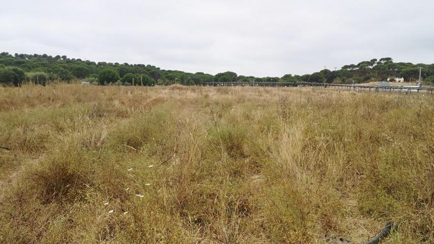 FINCA RUSTICA EN ALJARAQUE A 2 KM DEL PUEBLO 1️⃣8️⃣0️⃣0️⃣0️⃣ M2-LUZ Y AGUA photo 0