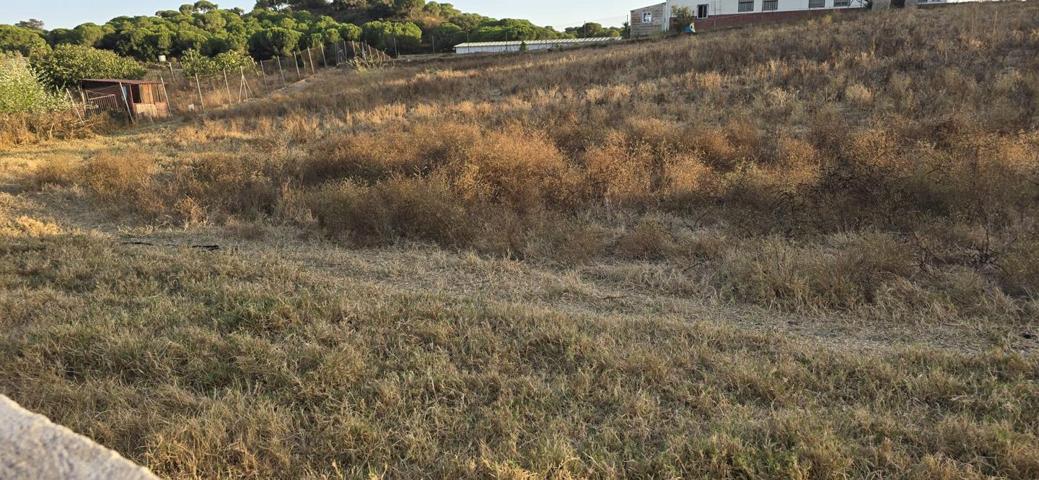 Finca rustica en Aljaraque a 2 kmtrs del pueblo 6️⃣0️⃣0️⃣0️⃣0️⃣👀👀🤩🤩 photo 0