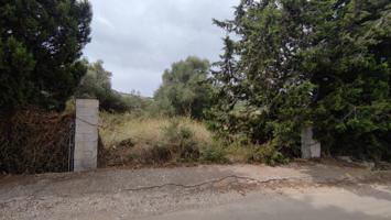 TERRENO RÚSTICO DE MÁS 12.000M2 CON LUZ, AGUA, LICENCIA Y PROYECTO PARA CONSTRUIR CASA. photo 0