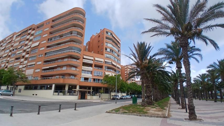¡¡¡SU VIVIENDA IDEAL EN ALICANTE !!! photo 0