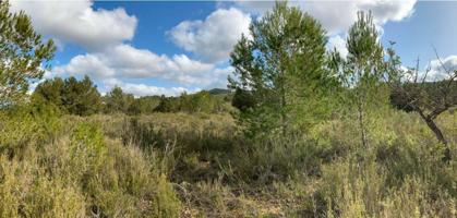 Terreno Urbanizable En venta en San José - Ibiza, 0, Sant Jordi De Ses Salines, Sant Josep De Sa Talaia photo 0