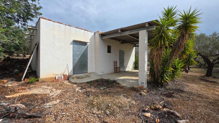 Finca Rústica de 11.235 M2, con pintoresca casita de campo a restaurar photo 0