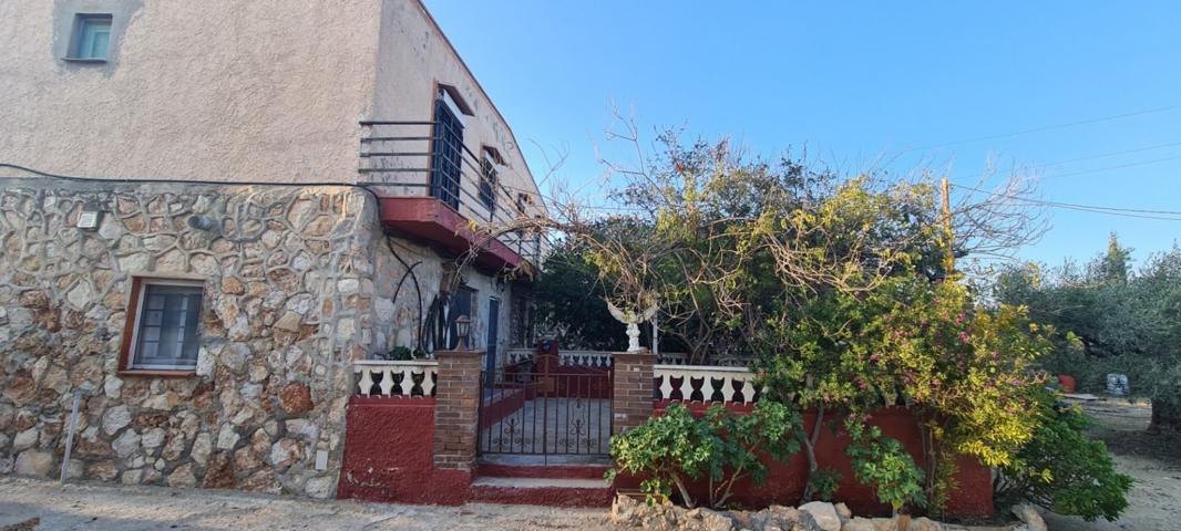 Finca Rústica con 2 casas unifamiliares, luz eléctrica de compañía y pozo de agua propio photo 0