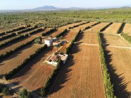 Gran Finca de cultivo de regadío de 26,23 Has con 3 viviendas y 2 almacenes, entre otras photo 0