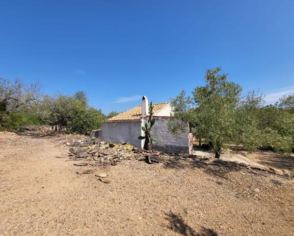 Finca Rústica con caseta de campo y pequeño almacén, a 3,5 km de la playa photo 0