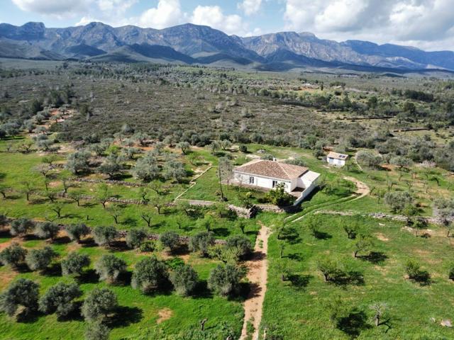 Magnífica y exclusiva Finca de 3 has con chalet de 230 M2, vistas montaña photo 0