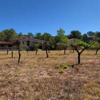 Magnífica Finca de 25.270 m2, con vivienda unifamiliar, de 192 m2 construidos photo 0