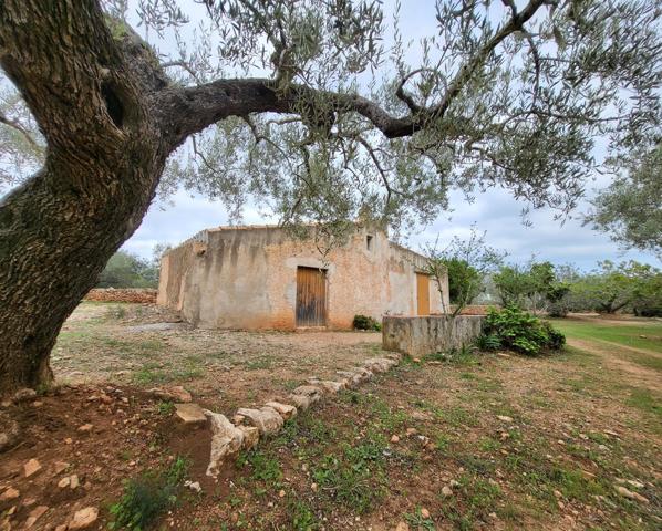 Finca Rústica de 50.000 M2, con caseta típica más almacén y agua potable conectada photo 0