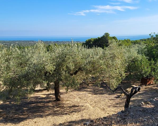 Finca de 36.169 M2, con dos casetas de aperos y vistas al mar photo 0