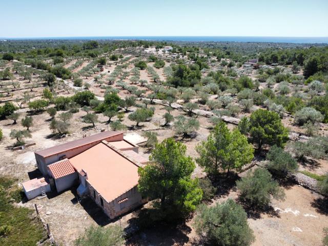 Bonita Finca Rústica con impresionante Masía de campo de 210 M2, vistas al mar photo 0